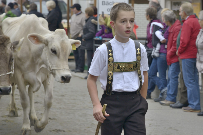 Appenzellerland Viehschau Schwellbrunn 2015 Westa Foto Bildergalerie